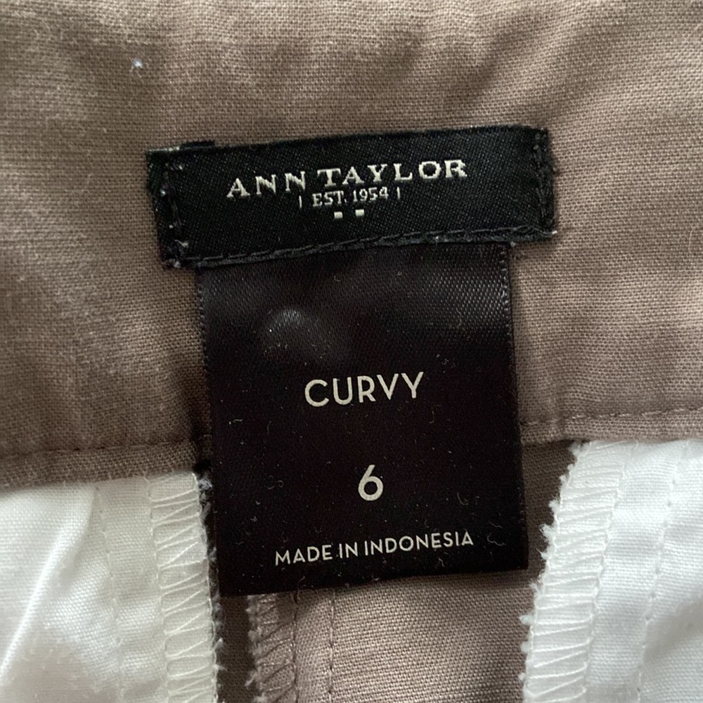 Loft Capri Pants - image 5